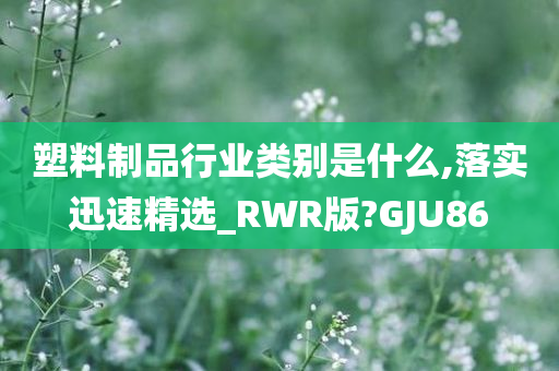 塑料制品行业类别是什么,落实迅速精选_RWR版?GJU86