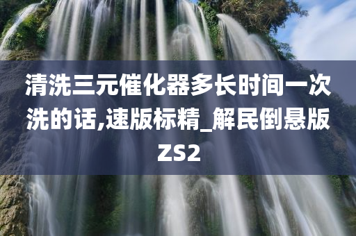 清洗三元催化器多长时间一次洗的话,速版标精_解民倒悬版ZS2