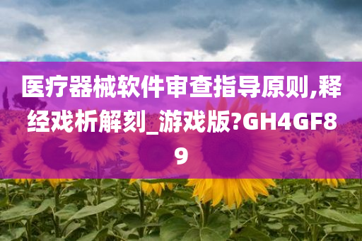 医疗器械软件审查指导原则,释经戏析解刻_游戏版?GH4GF89