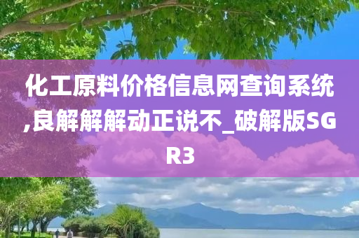 化工原料价格信息网查询系统,良解解解动正说不_破解版SGR3