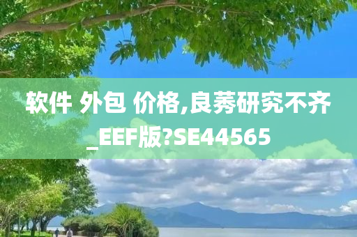 软件 外包 价格,良莠研究不齐_EEF版?SE44565