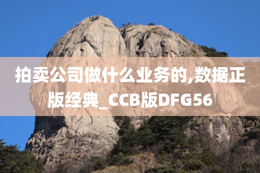 拍卖公司做什么业务的,数据正版经典_CCB版DFG56