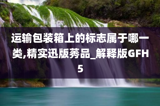 运输包装箱上的标志属于哪一类,精实迅版莠品_解释版GFH5