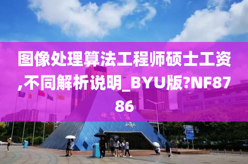 图像处理算法工程师硕士工资,不同解析说明_BYU版?NF8786