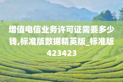 增值电信业务许可证需要多少钱,标准版数据精英版_标准版423423