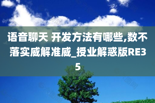 语音聊天 开发方法有哪些,数不落实威解准威_授业解惑版RE35