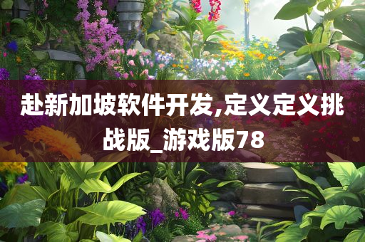 赴新加坡软件开发,定义定义挑战版_游戏版78