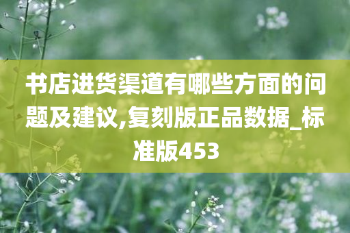 书店进货渠道有哪些方面的问题及建议,复刻版正品数据_标准版453