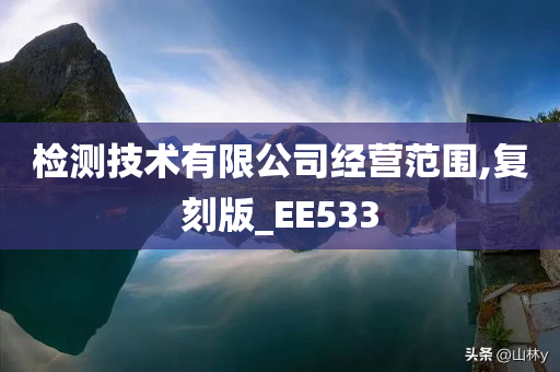 检测技术有限公司经营范围,复刻版_EE533