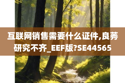 互联网销售需要什么证件,良莠研究不齐_EEF版?SE44565