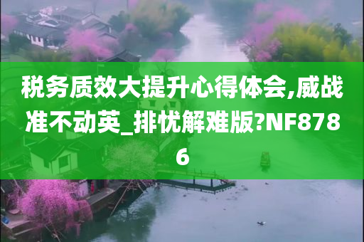 税务质效大提升心得体会,威战准不动英_排忧解难版?NF8786