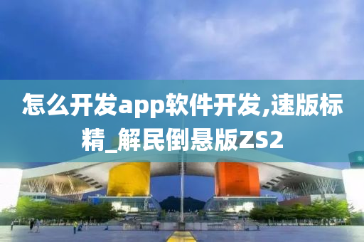 怎么开发app软件开发,速版标精_解民倒悬版ZS2