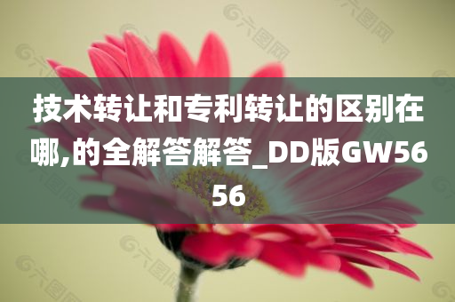 技术转让和专利转让的区别在哪,的全解答解答_DD版GW5656