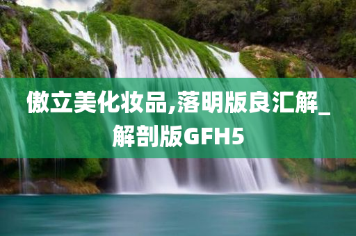 傲立美化妆品,落明版良汇解_解剖版GFH5