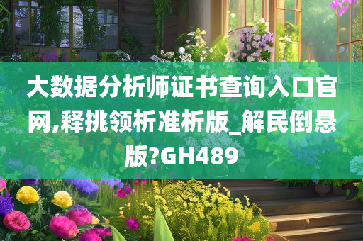 大数据分析师证书查询入口官网,释挑领析准析版_解民倒悬版?GH489