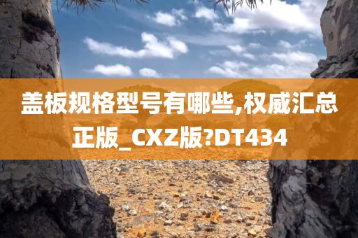 盖板规格型号有哪些,权威汇总正版_CXZ版?DT434