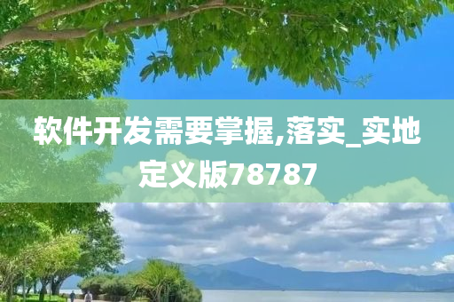 软件开发需要掌握,落实_实地定义版78787