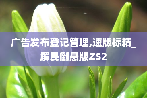 广告发布登记管理,速版标精_解民倒悬版ZS2