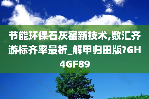 节能环保石灰窑新技术,数汇齐游标齐率最析_解甲归田版?GH4GF89