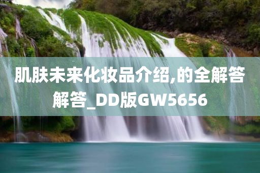 肌肤未来化妆品介绍,的全解答解答_DD版GW5656