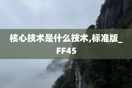 核心技术是什么技术,标准版_FF45