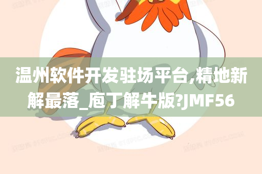 温州软件开发驻场平台,精地新解最落_庖丁解牛版?JMF56