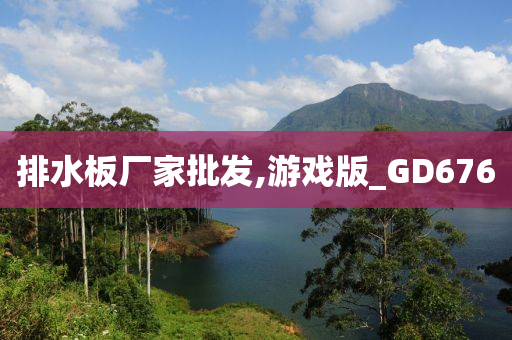 排水板厂家批发,游戏版_GD676