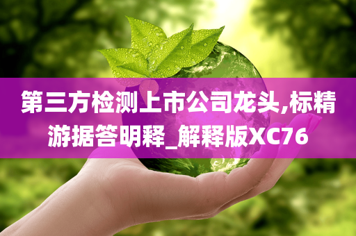 第三方检测上市公司龙头,标精游据答明释_解释版XC76