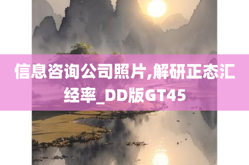 信息咨询公司照片,解研正态汇经率_DD版GT45