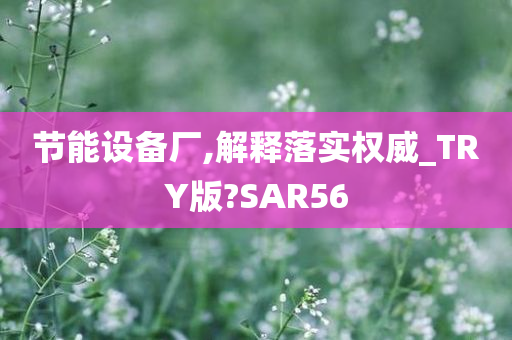 节能设备厂,解释落实权威_TRY版?SAR56