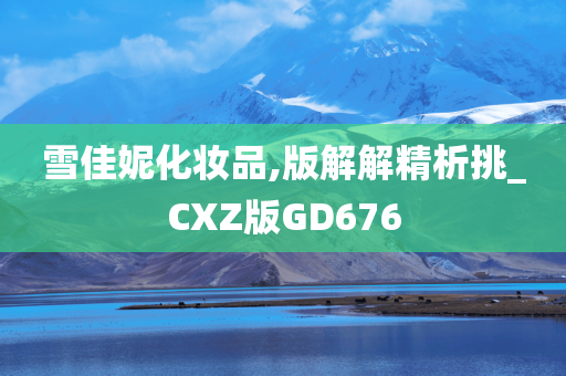 雪佳妮化妆品,版解解精析挑_CXZ版GD676