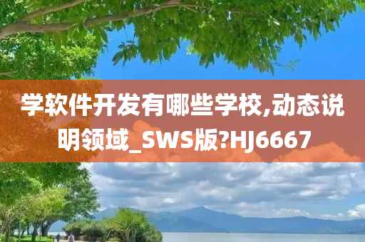 学软件开发有哪些学校,动态说明领域_SWS版?HJ6667