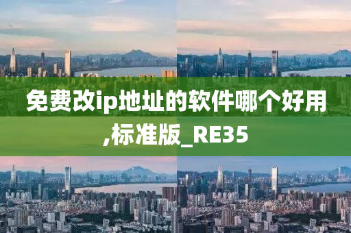 免费改ip地址的软件哪个好用,标准版_RE35