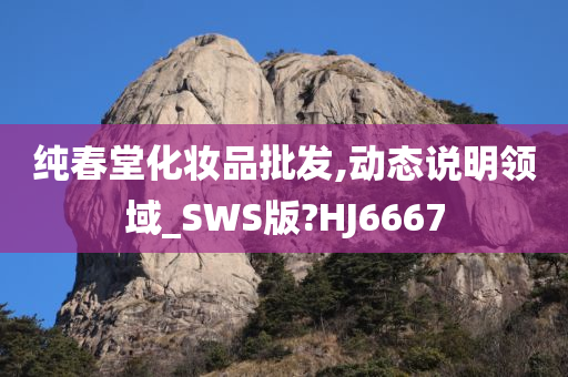 纯春堂化妆品批发,动态说明领域_SWS版?HJ6667