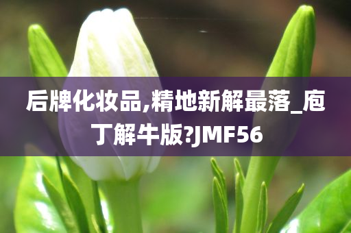 后牌化妆品,精地新解最落_庖丁解牛版?JMF56