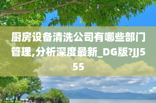 厨房设备清洗公司有哪些部门管理,分析深度最新_DG版?JJ555