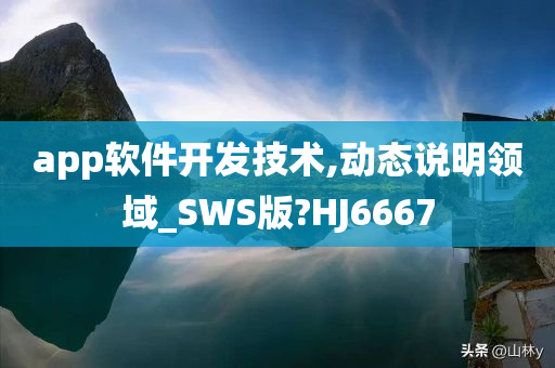 app软件开发技术,动态说明领域_SWS版?HJ6667