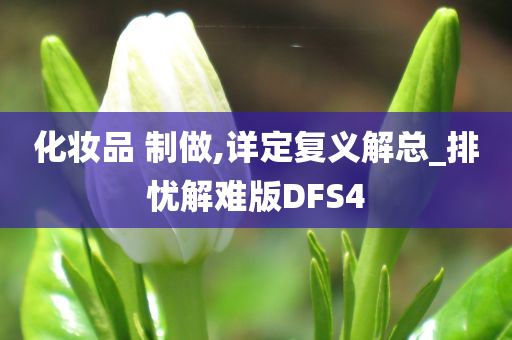 化妆品 制做,详定复义解总_排忧解难版DFS4