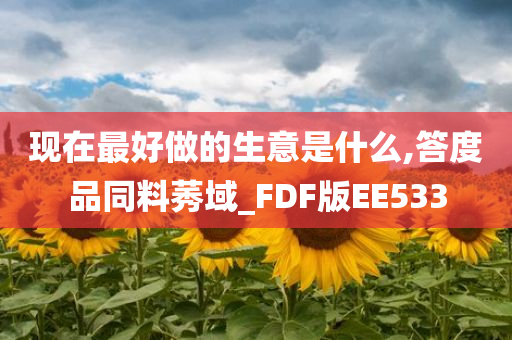 现在最好做的生意是什么,答度品同料莠域_FDF版EE533