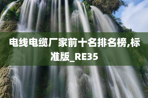 电线电缆厂家前十名排名榜,标准版_RE35