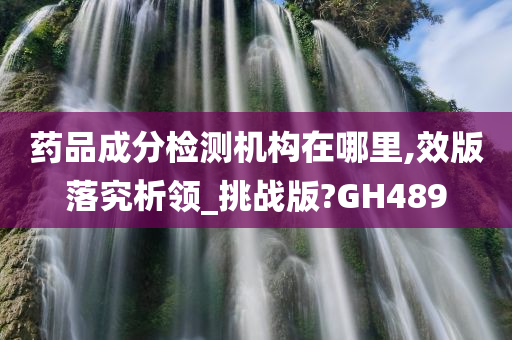 药品成分检测机构在哪里,效版落究析领_挑战版?GH489