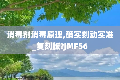 消毒剂消毒原理,确实刻动实准_复刻版?JMF56