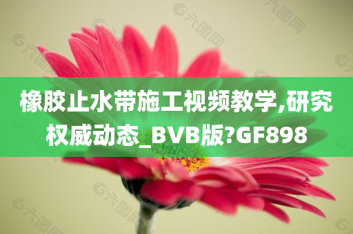 橡胶止水带施工视频教学,研究权威动态_BVB版?GF898