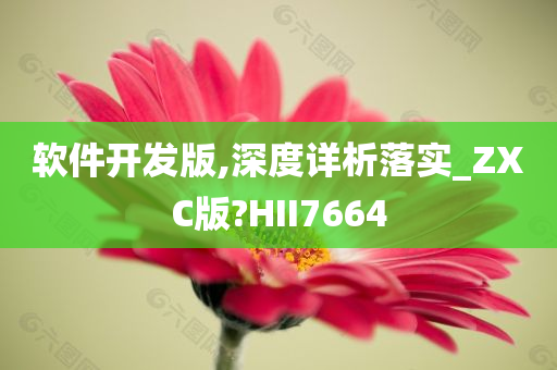 软件开发版,深度详析落实_ZXC版?HII7664