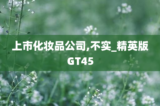 上市化妆品公司,不实_精英版GT45