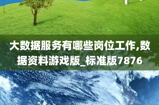 大数据服务有哪些岗位工作,数据资料游戏版_标准版7876