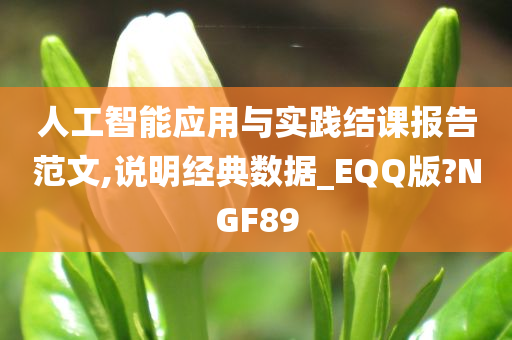 人工智能应用与实践结课报告范文,说明经典数据_EQQ版?NGF89