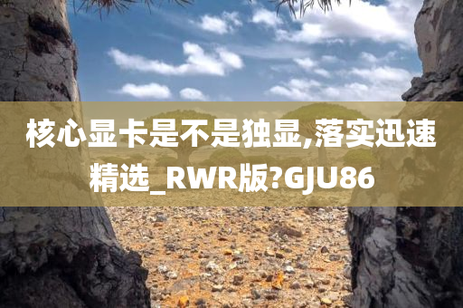 核心显卡是不是独显,落实迅速精选_RWR版?GJU86