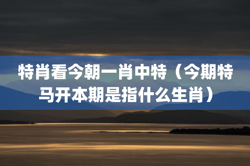 特肖看今朝一肖中特（今期特马开本期是指什么生肖）