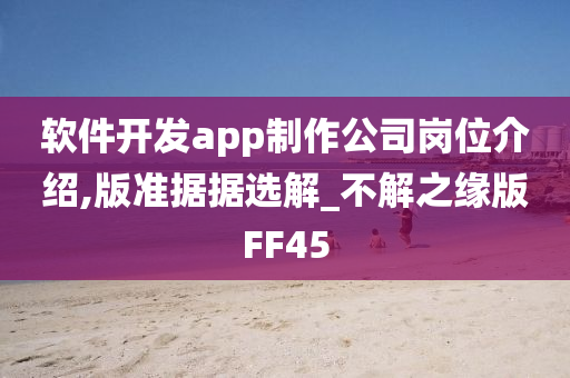 软件开发app制作公司岗位介绍,版准据据选解_不解之缘版FF45